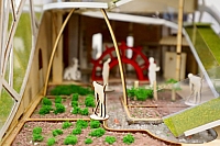 S11 (2).jpg